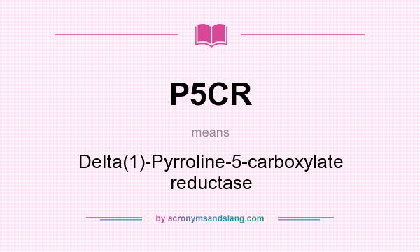 What does P5CR mean? It stands for Delta(1)-Pyrroline-5-carboxylate reductase