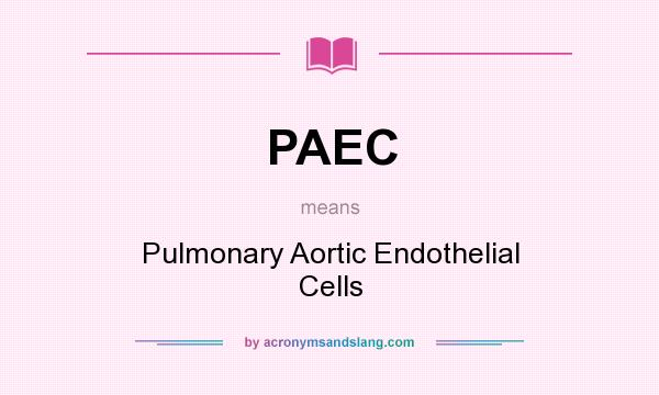 What does PAEC mean? It stands for Pulmonary Aortic Endothelial Cells