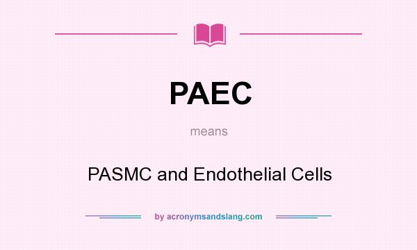 What does PAEC mean? It stands for PASMC and Endothelial Cells