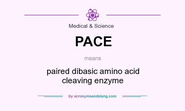 What does PACE mean? It stands for paired dibasic amino acid cleaving enzyme