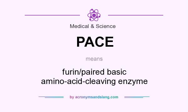 What does PACE mean? It stands for furin/paired basic amino-acid-cleaving enzyme