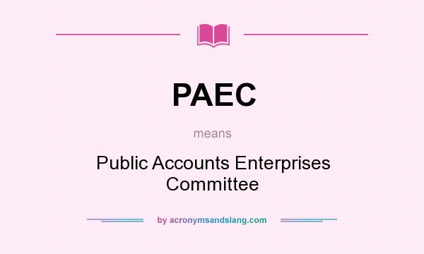 What does PAEC mean? It stands for Public Accounts Enterprises Committee