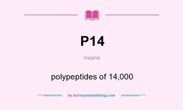 What does P14 mean? It stands for polypeptides of 14,000