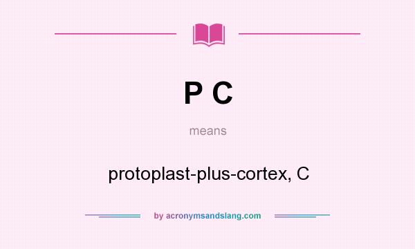 What does P C mean? It stands for protoplast-plus-cortex, C