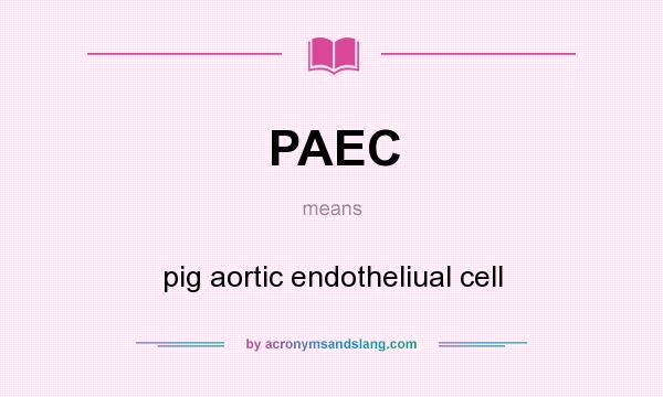 What does PAEC mean? It stands for pig aortic endotheliual cell