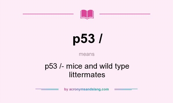 What does p53 / mean? It stands for p53 /- mice and wild type littermates