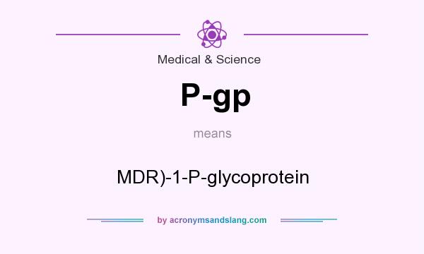 What does P-gp mean? It stands for MDR)-1-P-glycoprotein