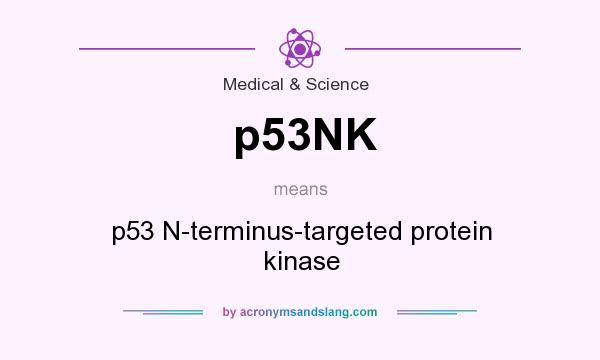 What does p53NK mean? It stands for p53 N-terminus-targeted protein kinase