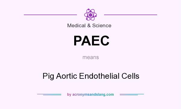 What does PAEC mean? It stands for Pig Aortic Endothelial Cells