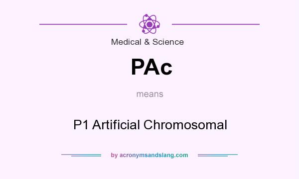 What does PAc mean? It stands for P1 Artificial Chromosomal