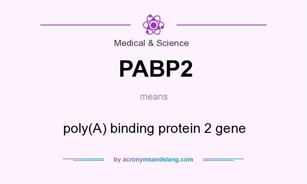 What does PABP2 mean? It stands for poly(A) binding protein 2 gene
