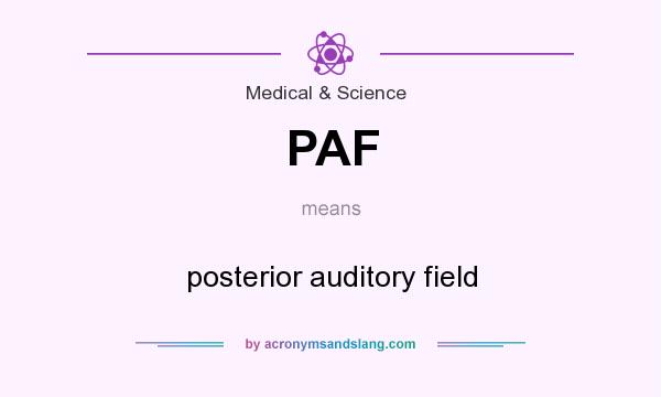 What does PAF mean? It stands for posterior auditory field