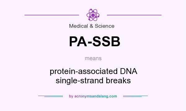 What does PA-SSB mean? It stands for protein-associated DNA single-strand breaks