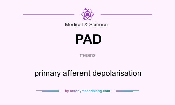 What does PAD mean? It stands for primary afferent depolarisation