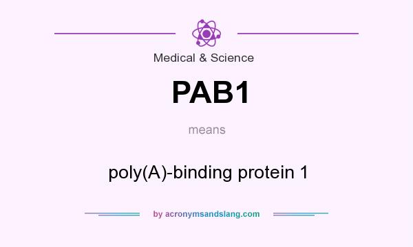 What does PAB1 mean? It stands for poly(A)-binding protein 1