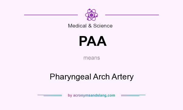 What does PAA mean? It stands for Pharyngeal Arch Artery