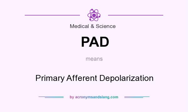 What does PAD mean? It stands for Primary Afferent Depolarization