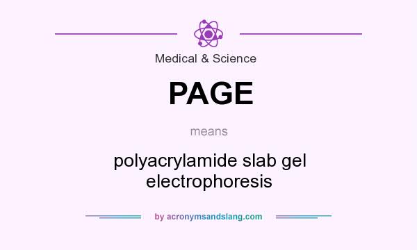 What does PAGE mean? It stands for polyacrylamide slab gel electrophoresis