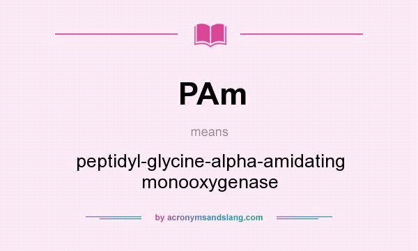 What does PAm mean? It stands for peptidyl-glycine-alpha-amidating monooxygenase