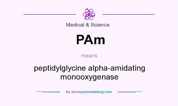What does PAm mean? It stands for peptidylglycine alpha-amidating monooxygenase