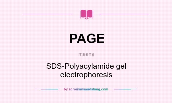 What does PAGE mean? It stands for SDS-Polyacylamide gel electrophoresis