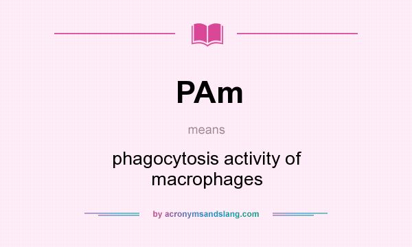 What does PAm mean? It stands for phagocytosis activity of macrophages