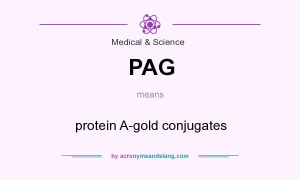 What does PAG mean? It stands for protein A-gold conjugates