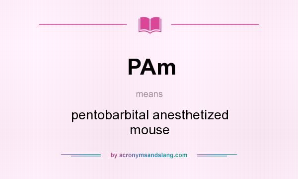 What does PAm mean? It stands for pentobarbital anesthetized mouse