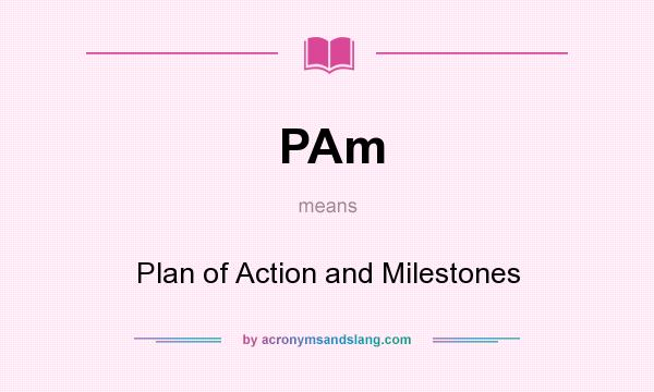 What does PAm mean? It stands for Plan of Action and Milestones