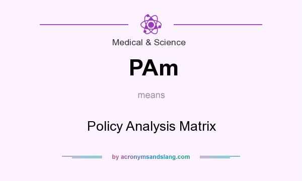 What does PAm mean? It stands for Policy Analysis Matrix