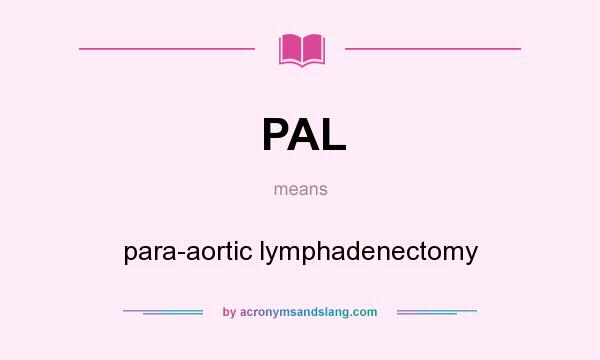 What does PAL mean? It stands for para-aortic lymphadenectomy