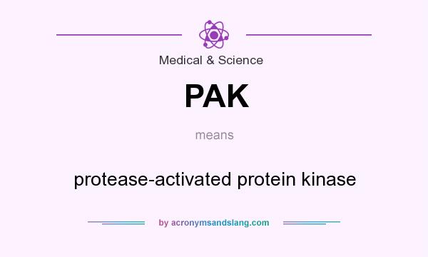 What does PAK mean? It stands for protease-activated protein kinase