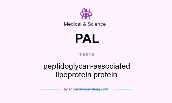 What does PAL mean? It stands for peptidoglycan-associated lipoprotein protein