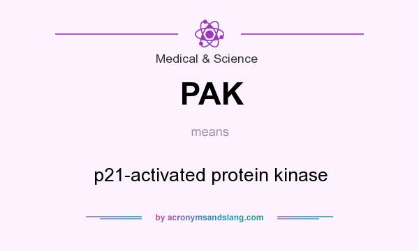 What does PAK mean? It stands for p21-activated protein kinase