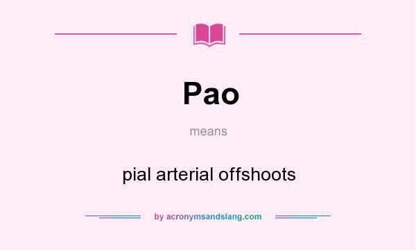 What does Pao mean? It stands for pial arterial offshoots