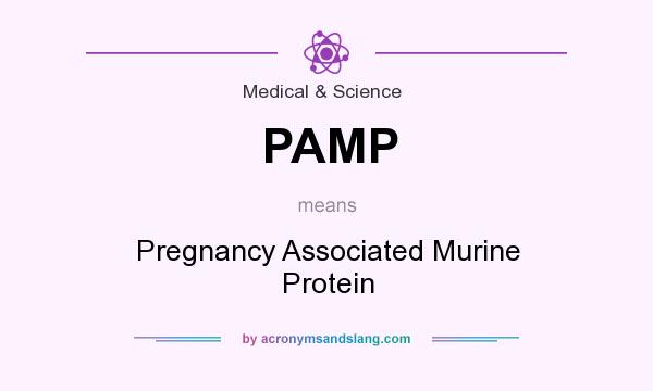 What does PAMP mean? It stands for Pregnancy Associated Murine Protein