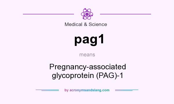 What does pag1 mean? It stands for Pregnancy-associated glycoprotein (PAG)-1