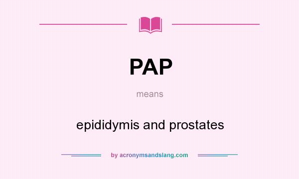 What does PAP mean? It stands for epididymis and prostates