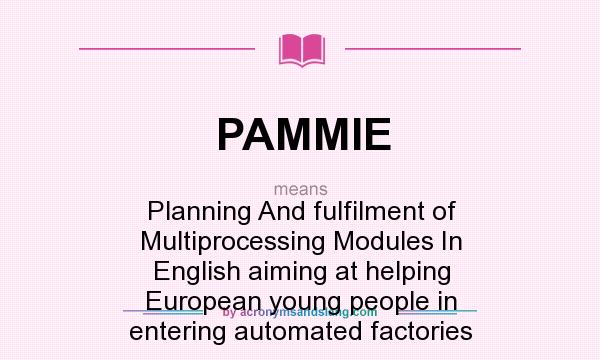 What does PAMMIE mean? It stands for Planning And fulfilment of Multiprocessing Modules In English aiming at helping European young people in entering automated factories