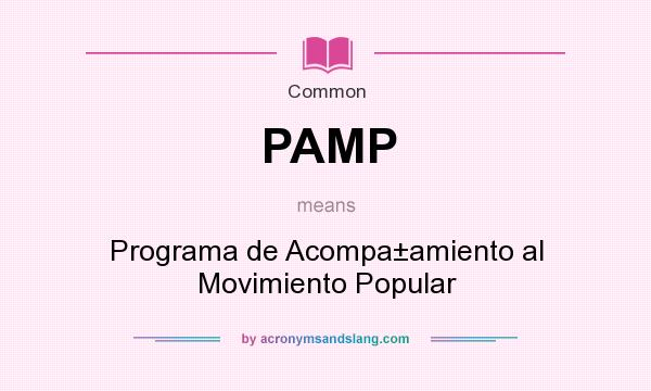 What does PAMP mean? It stands for Programa de Acompa±amiento al Movimiento Popular