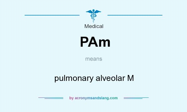 What does PAm mean? It stands for pulmonary alveolar M
