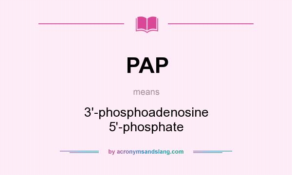 What does PAP mean? It stands for 3`-phosphoadenosine 5`-phosphate