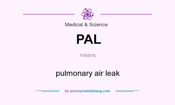 What does PAL mean? It stands for pulmonary air leak