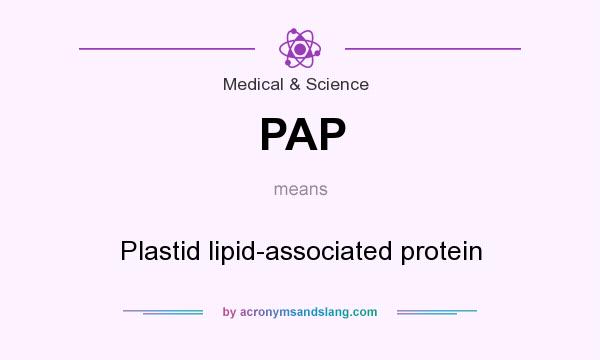 What does PAP mean? It stands for Plastid lipid-associated protein