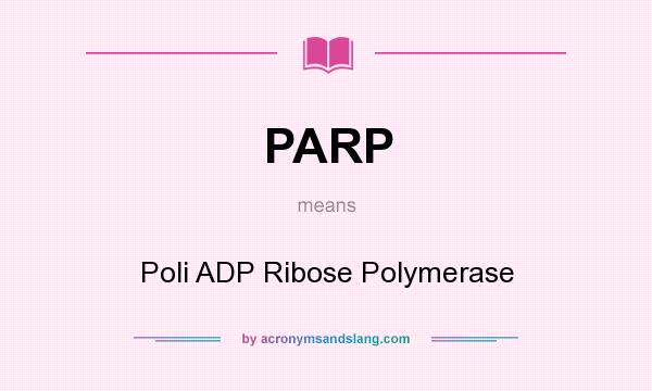 What does PARP mean? It stands for Poli ADP Ribose Polymerase