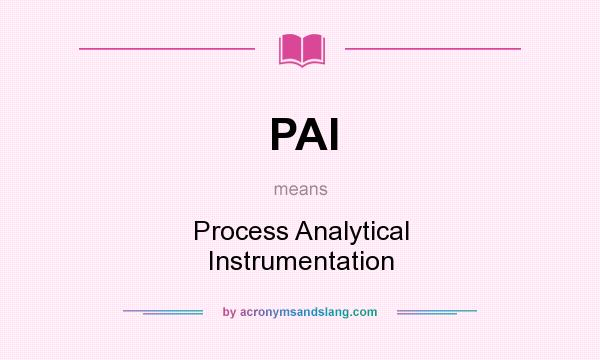 What does PAI mean? It stands for Process Analytical Instrumentation
