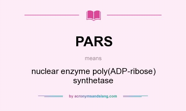What does PARS mean? It stands for nuclear enzyme poly(ADP-ribose) synthetase
