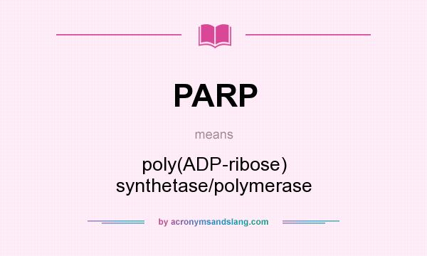 What does PARP mean? It stands for poly(ADP-ribose) synthetase/polymerase