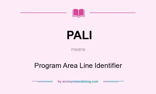 What does PALI mean? It stands for Program Area Line Identifier