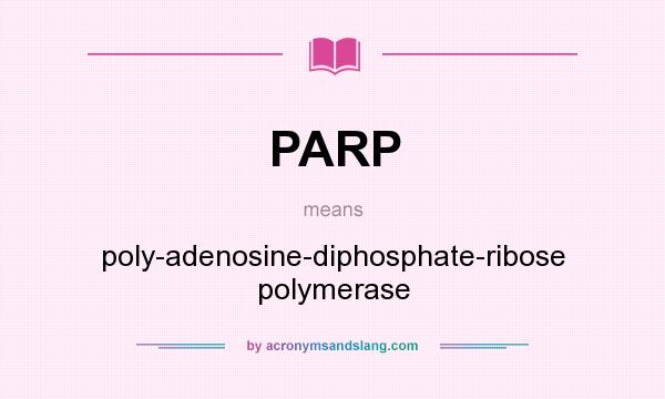 What does PARP mean? It stands for poly-adenosine-diphosphate-ribose polymerase